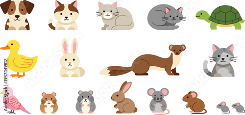 Cartoon Style Animals Including Dogs, Cats, Rabbits, Mice, Ducks, Ferrets, and Turtles in Playful Poses