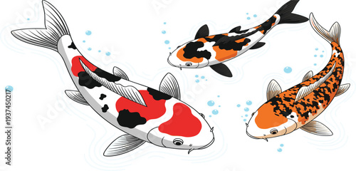 Colorful Illustration of Three Koi Fish Swimming in Clear Water with Bubbles in a Tranquil Setting