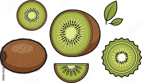 Detailed Kiwi Fruit Illustration Set Featuring Whole Kiwi, Half Slices, and Cross-Sections for Healthy Food and Organic Produce Design.