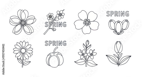 Set of black and white spring flower line icons with text for seasonal design and coloring book projects