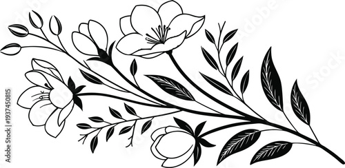 Black and white floral illustration with blooming flowers and leaves on a stem