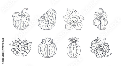 Line art botanical collection of fantasy fruits and flowers, hand-drawn outline illustrations for coloring books or creative design projects