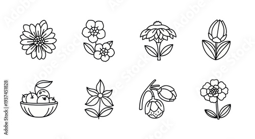 Set of simple black and white hand-drawn flower and fruit line icons, perfect for botanical and nature design projects