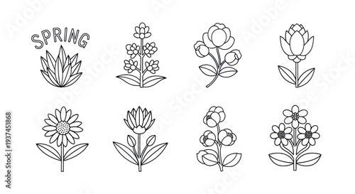 Spring floral line art icons set with blooming flowers and plants, simple black outlines perfect for seasonal design and decoration