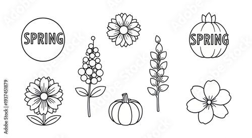Spring flower and pumpkin outline icons with text for seasonal design and decoration, perfect for springtime projects and crafts