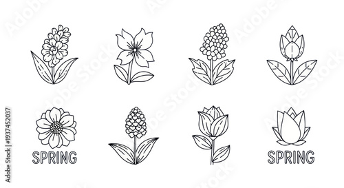 Set of simple black and white hand-drawn spring flower illustrations and icons, perfect for seasonal designs and greeting cards