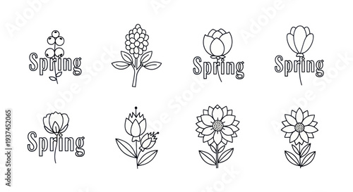Spring floral line art icons with flowers and leaves, outline botanical design perfect for seasonal decoration and branding