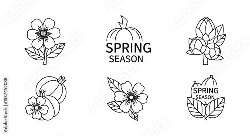 Spring season black line icons with flowers, leaves and fruits, simple nature outline illustrations for seasonal design