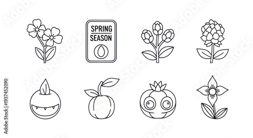 Spring season outline icons set with flowers, fruits, and spring label, perfect for seasonal design projects and spring-themed illustrations