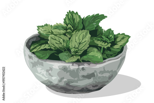 Dried Lemon balm leaf in stone bowl isolated