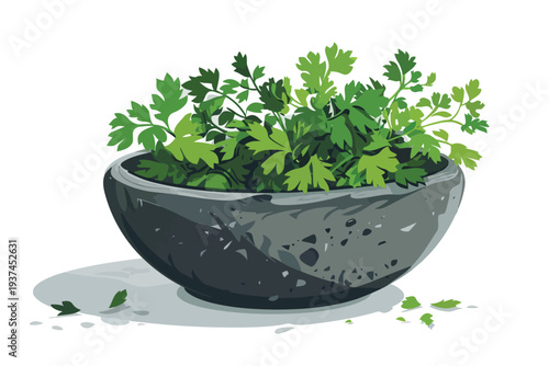 Dried parsley in stone bowl isolated