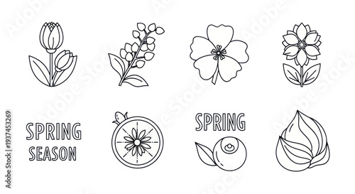 Spring season outline icons with flowers, fruits, and text, black and white line art for seasonal and nature design