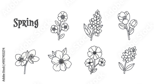 Spring flower line art collection with different floral designs for seasonal decoration and creative projects