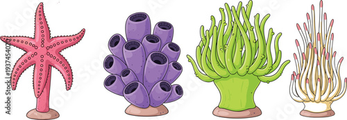 Colorful marine life illustration set featuring starfish, tube sponge, sea anemone and coral reef organisms isolated on light background, ocean biodiversity cartoon collection
