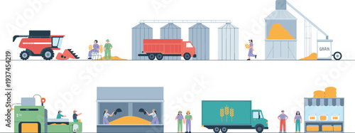 Grain harvest processing and storage industry with combine truck silos factory workers and distribution flat vector illustration
