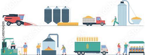 Grain harvesting and processing industry with silos trucks factory production line and market distribution flat vector illustration