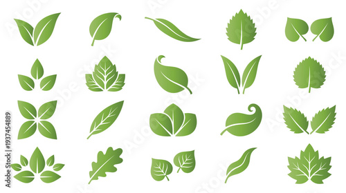 Natural green leaves collection with gradient for eco friendly design