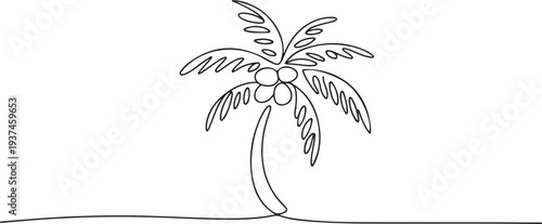 Palm tree continuous line drawing natural coconut vector illustration. one line Icon drawing