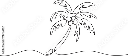 Palm tree continuous line drawing natural coconut vector illustration. one line Icon drawing