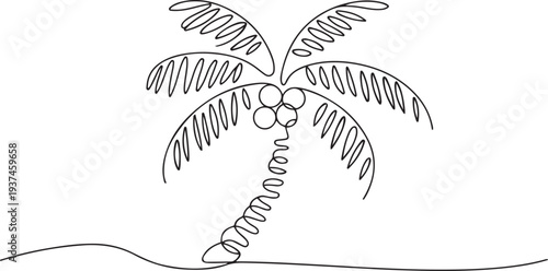 Palm tree continuous line drawing natural coconut vector illustration. one line Icon drawing