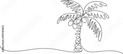 Palm tree continuous line drawing natural coconut vector illustration. one line Icon drawing