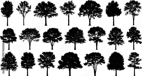 Tree silhouettes collection set, forest and garden trees shapes, black botanical tree silhouettes isolated, nature woodland vector illustration