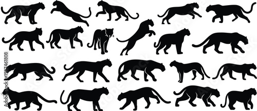 Black silhouette of various panther and jaguar poses, wild cat collection