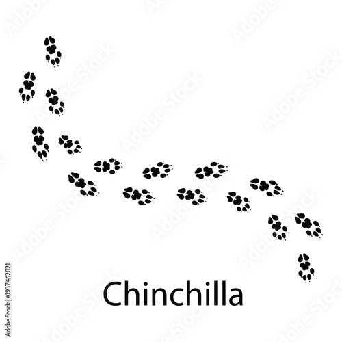 Chinchilla Footprint Silhouette Vector – Small Animal Paw Print Track Icon EPS