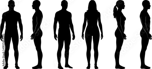 Human body silhouette set, male female anatomy reference collection, front side back view vector, isolated white background