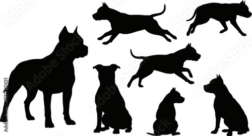 Pitbull dog silhouette collection, running sitting standing poses set isolated on white background, canine pet vector illustration bundle design