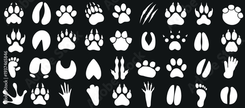 Collection of diverse animal paw print and track illustrations on black background