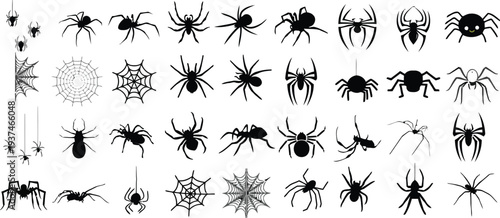 Collection of spider and spider web illustrations representing creepy crawlies and Halloween themes