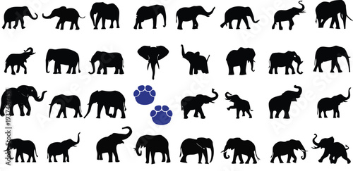 Collection of various elephant silhouettes, different poses and sizes, great for wildlife or zoo themes
