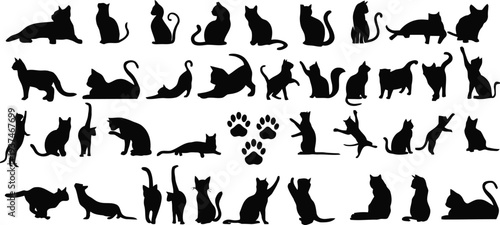 Diverse cat silhouettes in various poses and actions
