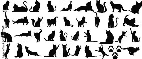Domestic cat silhouettes in various poses including sitting jumping and stretching with paw prints