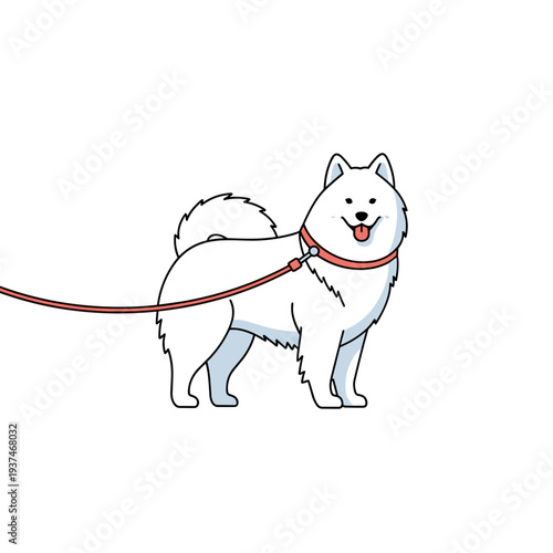 White Samoyed dog with leash for pet walking and dog care illustration