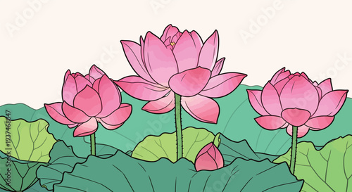 Three lotus flowers stand tall in a pond. Green leaves spread out around them. The scene is bright under the sun.