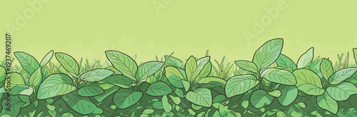 Green leaves and various plants grow in a lush arrangement against a bright, plain background under clear skies.