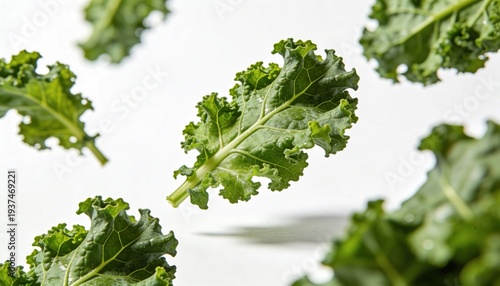 Fresh green kale leaves floating in the air against a clean white background