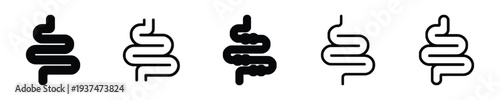 Intestine icons set for medical and anatomical representation
