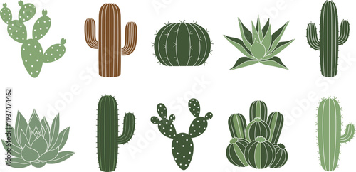 Desert Cactus and Succulent Plant Collection with Prickly Pear, Barrel Cactus, Agave, and Aloe Vera for Botanical Nature Vector Illustration Design