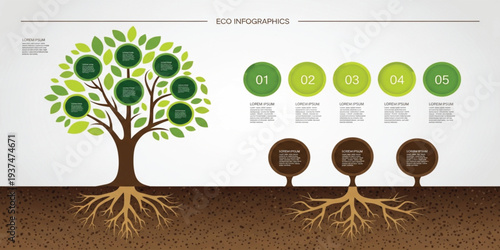 Eco Tree Infographic Template with Roots and Green Leaf Nodes Showing Environmental Growth Process Steps for Sustainability Presentation and Business Data Visualization