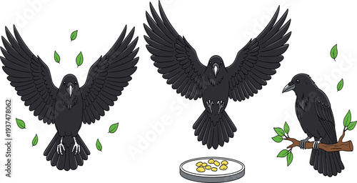 Black raven bird cartoon set with spread wings flying landing and perched on branch flat vector illustration collection