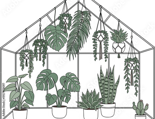 Interior greenhouse illustration featuring various potted houseplants including monstera snake plant and hanging succulents in a glass conservatory frame.