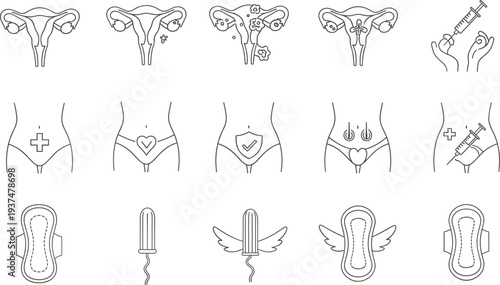 Comprehensive vector line icon set featuring female reproductive system anatomy, uterine health symbols, menstrual care products like pads and tampons, and medical wellness indicators.