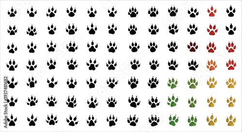 Collection of colorful paw prints, animal tracks, vector graphic design
