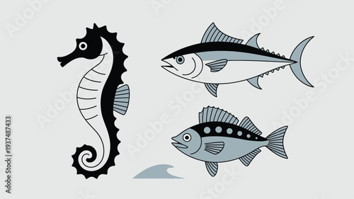 Seahorse fish tuna marine animals vector