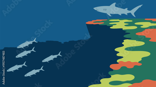 Shark fish ocean danger survival