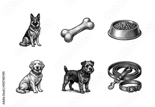 Vintage engraving style collection of dog breeds and pet accessories featuring a German Shepherd, Golden Retriever, terrier, bone, food bowl, and leather leash set.