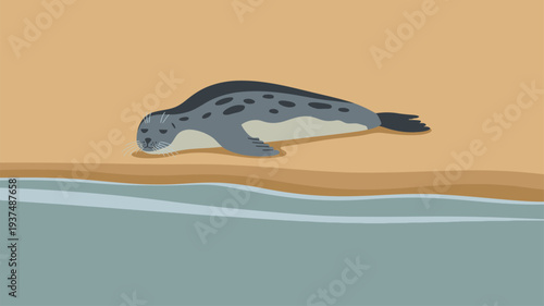 Sleeping seal beach flat illustration